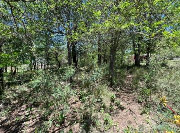 Terreno · 396m² · En Venta 2 Lotes en Cosquin a 500 m de La Juntura de Rios Ref: 1807