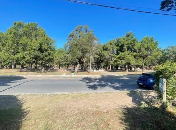 Terreno · Ideal Para Inversor - Lotes - Barrio San Rafael