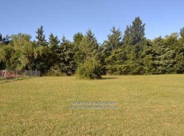 Terreno · 600m² · Terreno - Villa Elisa