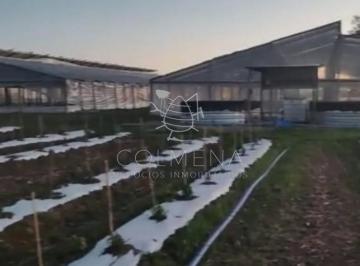 Foto1 · Campo en Canelones