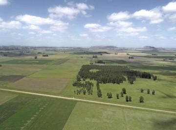 Campo · 450000m² · Balcarce - 45 Ha