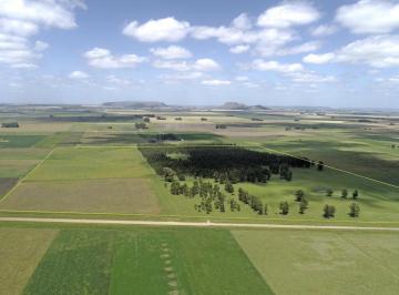 Campo · 450000ha · Balcarce - 45 Ha