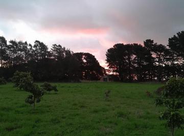 Campo · 75000m² · 5 Ambientes · 2 Cocheras · Venta Campo en Paraje El Boquerón