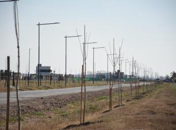 Terreno · 500m² · Terreno - Funes