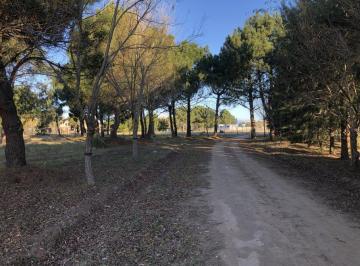 Terreno · 811m² · Barrio San Rafael - Ideal Para Vivienda Permanente