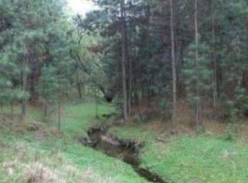Terreno 25000m² Venta · Venta de Dos Ha y Media - Tlc0028