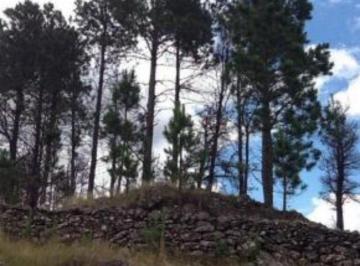 Terreno 300ha Venta · Fraccion de 300 Has en Pinar de Los Ríos - Tlc0164