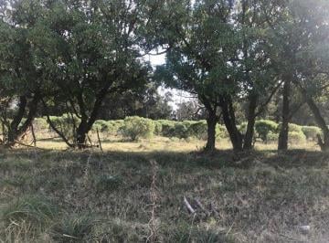 Terreno · 300m² · Terreno Sobre Av 58 de 300 m²