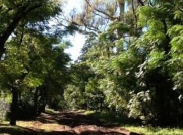Terreno Venta USD 25.000 · Lotes Continuos en Ciudad Parque - Tlc0121
