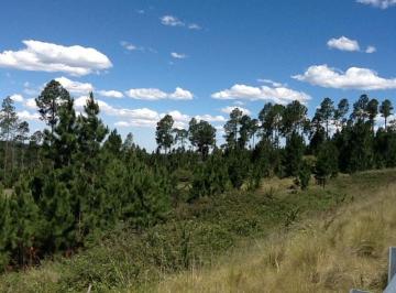 Terreno , Intiyaco · Venta de 1 Has y Media en Intiyaco - Tlc0060