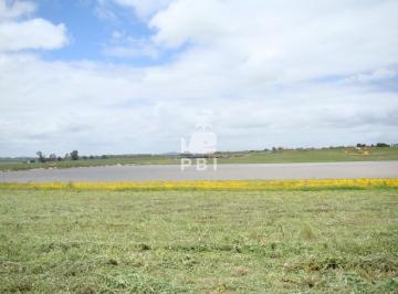 Foto1 · Lote en Laguna de Los Cisnes, Punta Ballena - Ref: Pbi2734