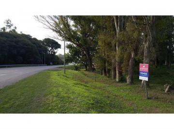 Terreno · 1000m² · Zona Abadia, Lotes de 1.000 m² Arbolados Sobre Ruta