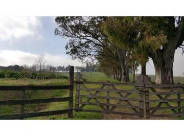 Campo · 59m² · Campo de 59 Has Sobre Ruta, con Casco, Casa de Invitados, Galpones y Dependencias