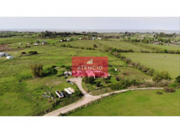 Terreno · 60000m² · 6 Hectáreas, Pegadas a La Ciudad, con Casa, Apto Loteo!