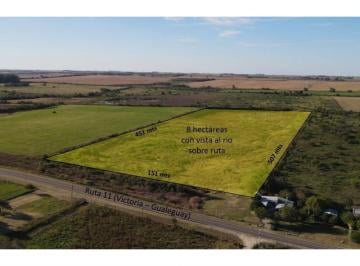 Campo · 8m² · Campo de 8 Has Sobre Ruta 11, a 1,5 Km de Viñedo Borde Rio