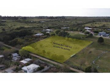 Terreno · 5500m² · Terreno de 5.500 m² en Zona de Quintas, Excelente Oportunidad