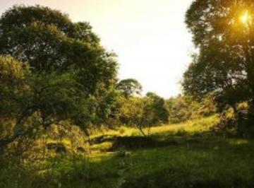 Terreno · 5014m² · Venta de Chacra en Estancia La Cunka - Tlc0551
