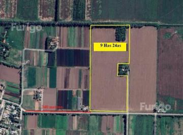 Campo · 92400m² · Campo en Soldini