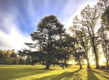 Terreno · 4650m² · Lote a La Venta en Chacras de San Andrés