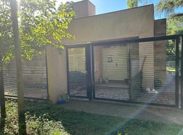 TAV-TAV-6686_2 · Venta Casa 4 Amb. Parque y Pileta, V Udaondo, Parque Leloir