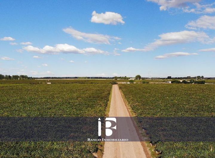 Campo · 373m²