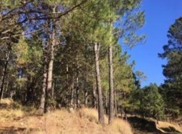 Terreno Venta USD 33.000 · Venta de Hermoso Lote en Potrero de Garay - Tlc0354