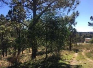 Terreno Venta USD 48.000 · Venta Excelente Hectárea - Tlc0356
