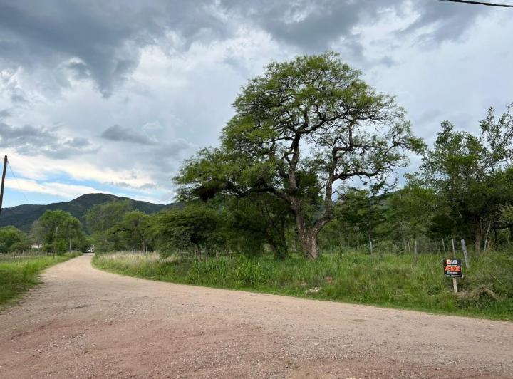 Terreno · 431m²