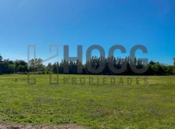 HOG-HOG-942_2 · Areco - Loteo Residencial - Zona Quintas
