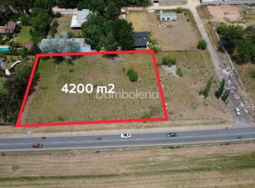 Terreno · 4200m² · Terreno Lote en Alquiler en General Rodríguez