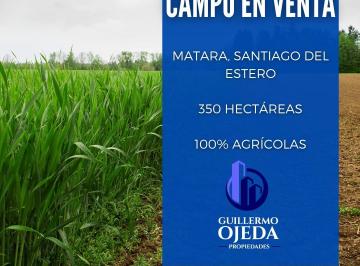 Campo , Matará · Campo en Venta en Matará Santiago del Estero