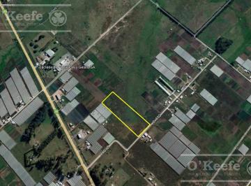 Campo · 31000m² · Chacra Hortícola en Venta - La Plata 3,1 Ha