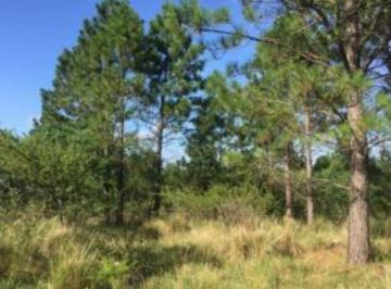 Terreno · 1083ha - Fortuna Inmobiliaria · Venta de Hectárea en Athos Pampa - Tlc0366