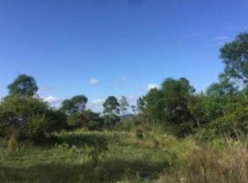 Terreno 1083ha Venta  · Venta de Hectárea en Athos Pampa ¡Oportunidad! - Tlc0367