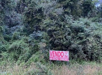 Terreno , El Alcázar · 12 Ha Terreno Sobre Ruta 12