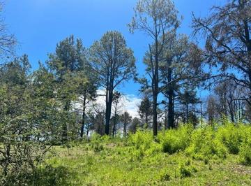 Terreno , Intiyaco · Venta de Terreno Barrio Semi Cerrado Sayri - Tlc0732