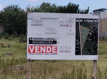 Terreno , Navarro · Parcela de 17000 m² - Navarro