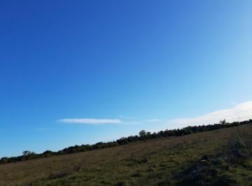 Campo , Romang · En Venta Campo Mixto a Pocos Km. de Romang