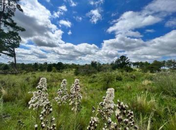 Terreno , Villa Yacanto · Venta de 40 Hectáreas en Yacanto - Inv0091
