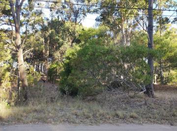 SRD-SRD-461_2 · Lote. | Necochea Al 300