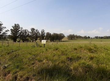 Campo de 1 ambiente, Mar del Plata · 4 Fracciones en Venta en La Peregrina (2 de 1.5 Has - 1 de 2 Ha - 1 de 3 Has)