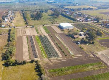 Terreno · 2500m² · Lotes 2.500 m² - Granadero Baigorria