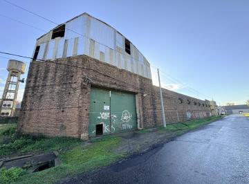 Bodega-Galpón · 4000m² · Galpón 4.000 m² - Dr. Sabattini 2800