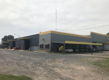 Bodega-Galpón · 2000m² · Nave 2.000 m² - Ruta Provincial 21