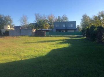 Terreno · 822m² · Pascuali 1200