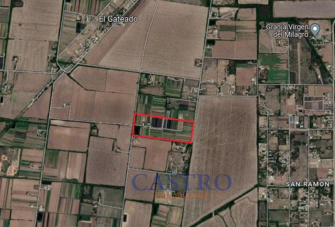 Campo · 11ha