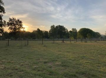Terreno en Venta  Mariano Acosta · Terreno en Venta Merlo Mariano Acosta
