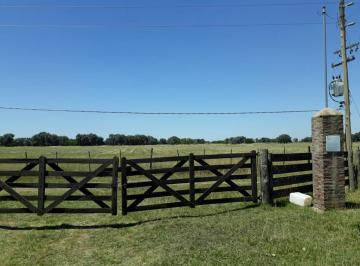 Campo · 200m² · Muy Buena Fracción Agricola Ganadera