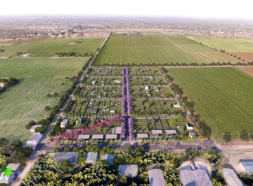 Terreno · 312m² · Terra, Loteo en Localidad de Alvarez, Desde 312 m².