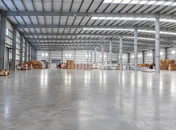 Depósito · 19000m² · Excelente Nave Triple a de 19000 m² - Pilar - Ruta 25